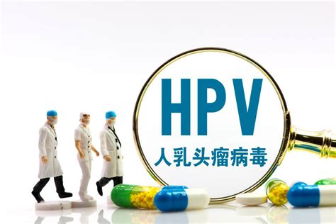 用公共卫生间会感染hpv？你怕是对hpv有什么误解 动态 新湖南