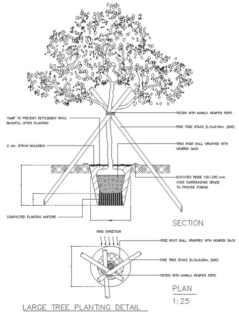 Large tree planting detail section plan and elevation DWG autoCAD ...