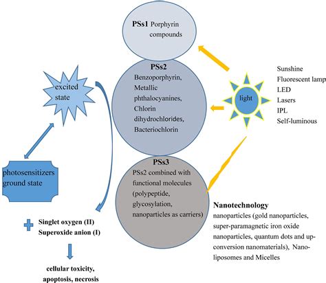 Frontiers Advances In Photodynamic Therapy Based On Nanotechnology