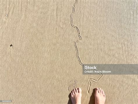 Barefoot Beach Walk Stock Photo - Download Image Now - Abstract ...