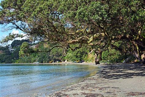 The BEST Beaches in Auckland: 14 Must-See Seaside Escapes