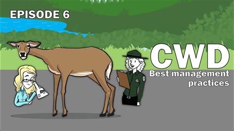 Cwd Series Episode 6 Minimizing Cwd Problems Using Best Management