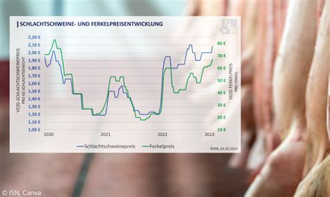 Schweine Net Belebung Am Schlachtschweinemarkt VEZG Preis Steigt Um