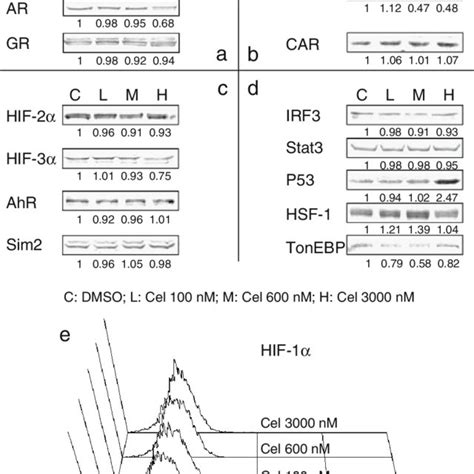 Mcf 7 Tfs Alteration Detection Mcf 7 Cells Were Treated With Different Download Scientific