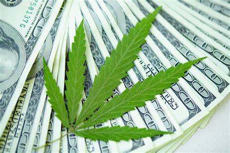 New Analysis Shows Tax Revenue From Cannabis In The Billions Mj Pureplay Index