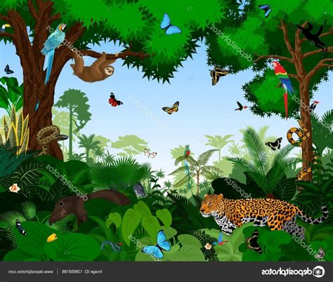 Rainforest Vector at Vectorified.com | Collection of Rainforest Vector ...