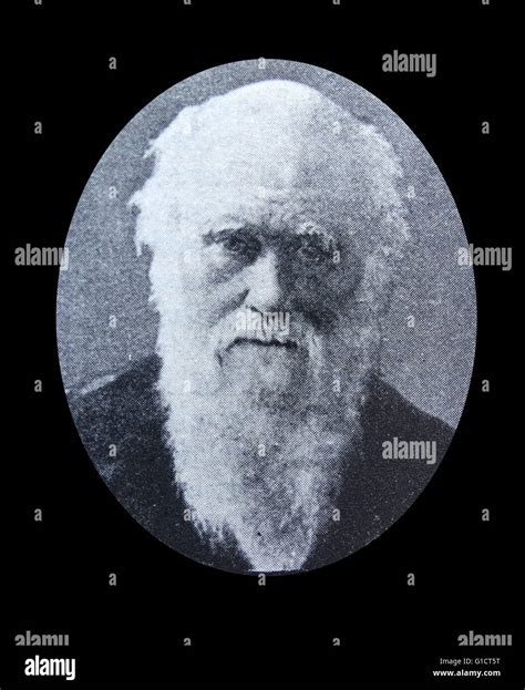 Charles Darwin Portrait Hi Res Stock Photography And Images Alamy