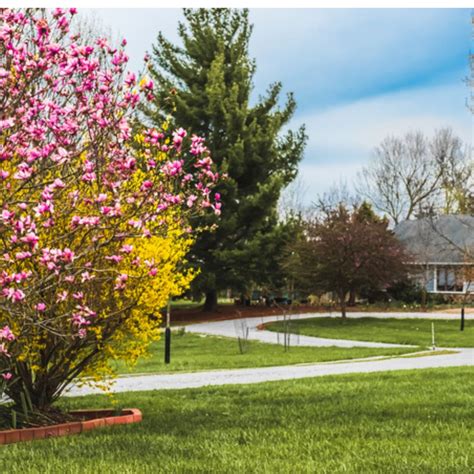 The Essentials Of Curb Appeal In New England Spring A Comprehensive Guide