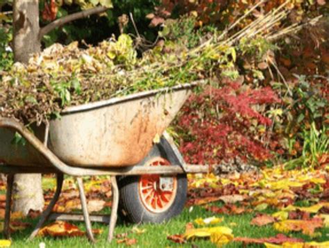 Les Astuces Pour Lentretien De Votre Jardin En Automne Centre