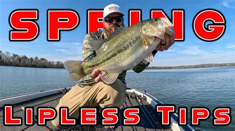 Lipless Crankbait Tricks And Spring Bass Fishing Tips YouTube