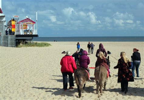 Donkey Riding On Great Yarmouth Beach. Editorial Photo - Image: 24382456