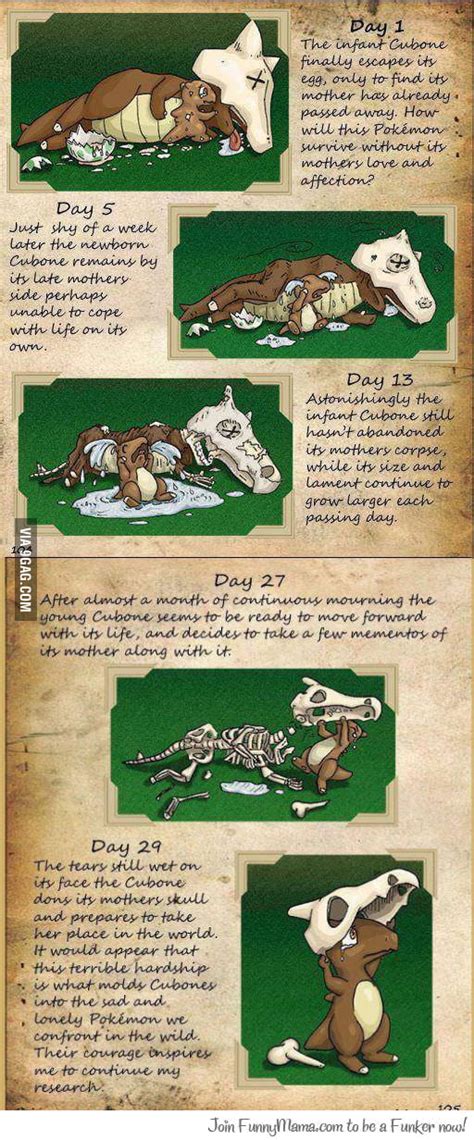 Story Of Cubone 9GAG