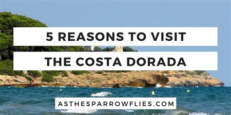 5 reasons why the Costa Dorada is more than just a "Brits abroad ...