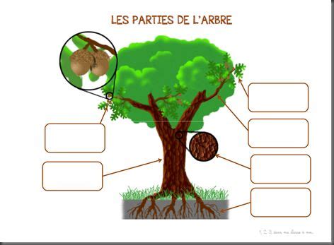 Projet Mon ami larbre 1 2 3 dans ma classe à moi La