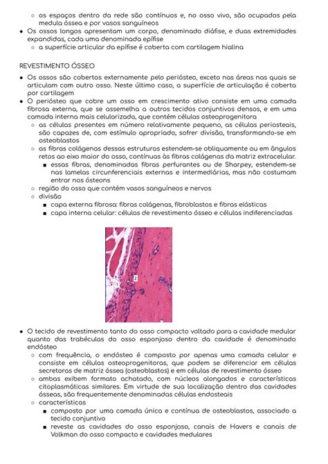 Solution Histologia Tecido Sseo E Calcifica O Studypool