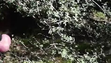 In Der Sonne Wurde Mein Kleiner Immer Erregter Gay Porn 8d XHamster