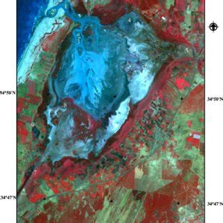 False Colour Composite Landsat Etm Image Of Lake Manzala