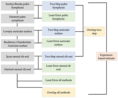 Forensic Sciences Free Full Text Age At Death Estimation Accuracy And Reliability Of Common