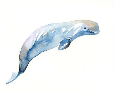 BELUGA WHALE Original watercolor painting 10X8inch