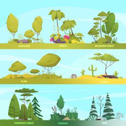 Ecosystem types set Royalty Free Vector Image - VectorStock