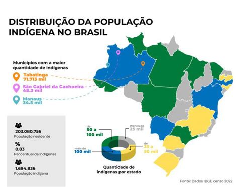 Povos Indígenas Do Brasil Principais Etnias Suas Culturas E Histórias