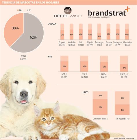 Seis De Cada 10 Hogares Del País Tienen Mascota Según Brandstrat