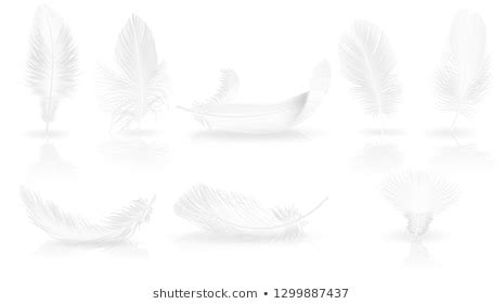 Realistic 3d White Bird Feathers Set Stock Vector Royalty Free 779439391