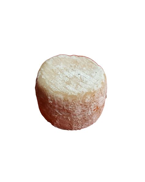 Crottin de chèvre