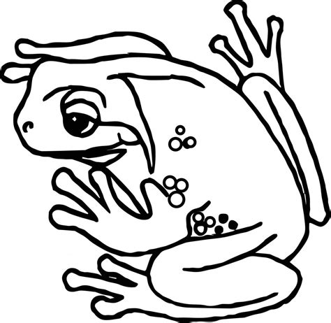 Frog Tree Amphibian Coloring Page