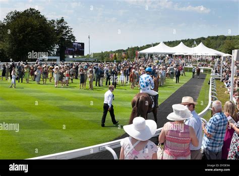 Goodwood racecourse hi-res stock photography and images - Alamy