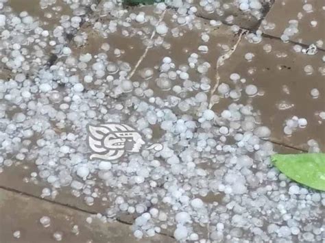 Granizo Causa Daños En 16 Municipios De Veracruz