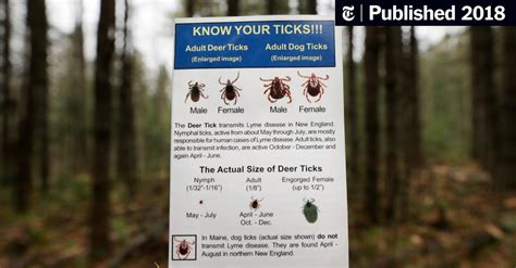 Lyme Disease Is Spreading Fast. Why Isn’t There a Vaccine? - The New ...