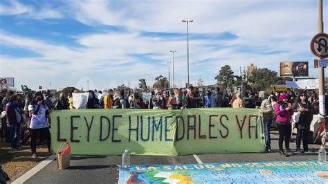 En Diputados Buscarán Emitir Dictamen Para La Ley De Humedales