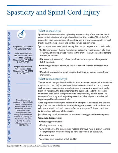 Spasticity And Spinal Cord Injury Datarealm