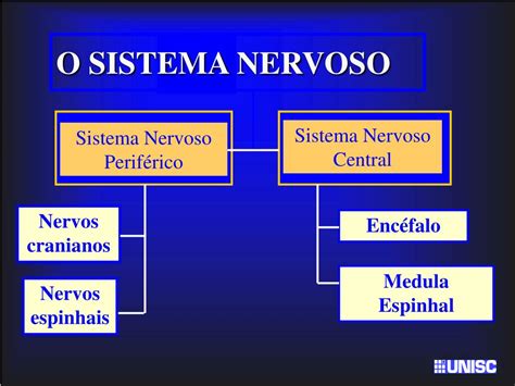 Ppt Farmacologia Do Sistema Nervoso Central Powerpoint Presentation