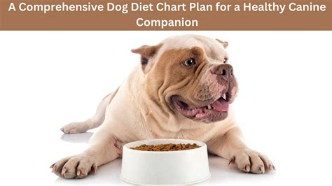 A Comprehensive Dog Diet Chart Plan For A Healthy Canine Companion By