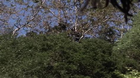 Riesiger BBC Darf Mich Anal Nehmen Free Porn C XHamster