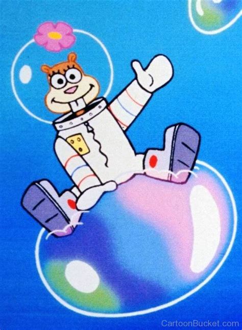 Search Results Sandy Cheeks