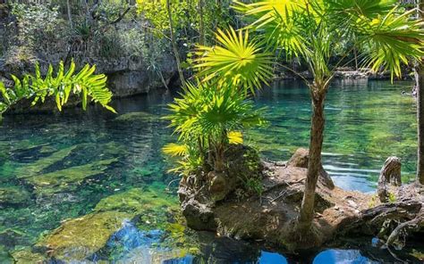 Top 100 Imagenes De Las Areas Naturales Protegidas De Mexico