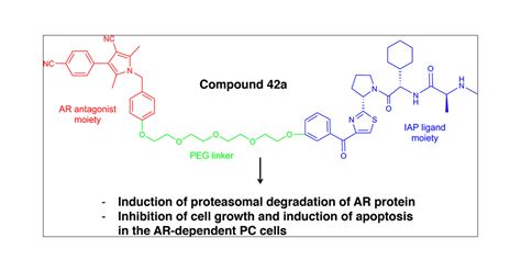 Development Of Protein Degradation Inducers Of Androgen Receptor By Conjugation Of Androgen