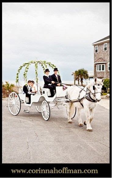 10 Best Ways to Include a Horse Carriage in Your Wedding - WeddingVibe.com