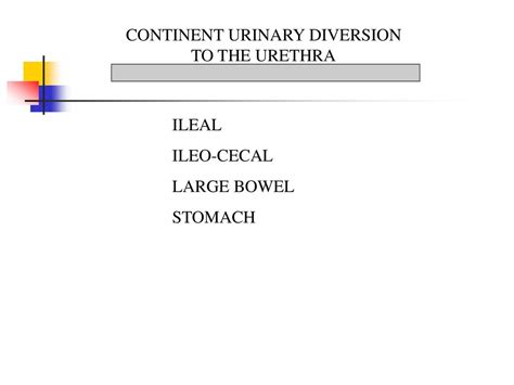 Urinary Diversion In Urological Cancer Ppt Download