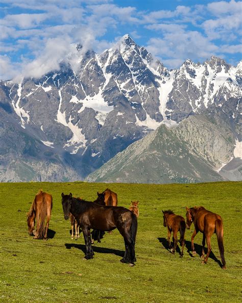 Valley Of Swat 7