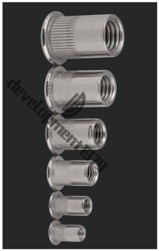 Metric Stainless Steel Blind Insert M M M M New Rivet Nut Rivnut