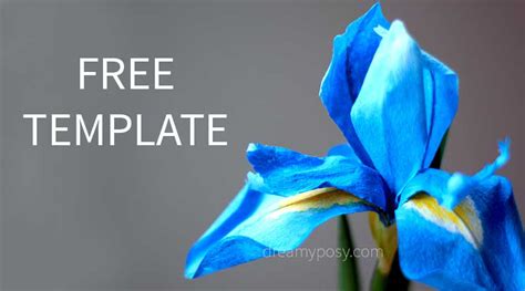 How To Make Paper Iris Flower Free Template And Full Video