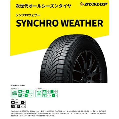 dunlop synchro weather   xl
