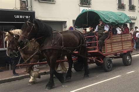 L ambiance était festive à la Fête du cheval de Forges les Eaux