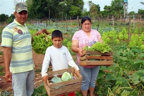 La Agricultura Familiar Enfr A El Planeta