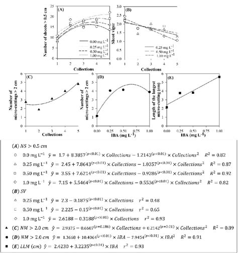 Characteristics Observed In In Vitro Cultivation Of Eucalyptus