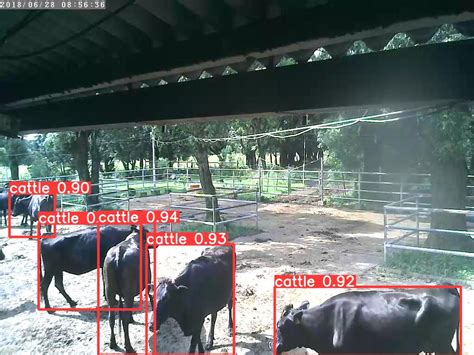 Val Env1 Object Detection Dataset By New Workspace Baqfk